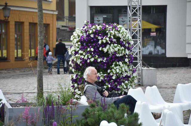 Klaipėda, gėlynai