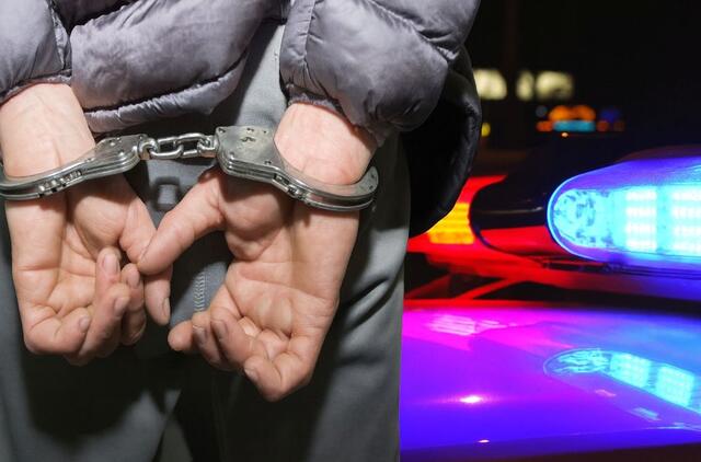 Kriminalinė suvestinė