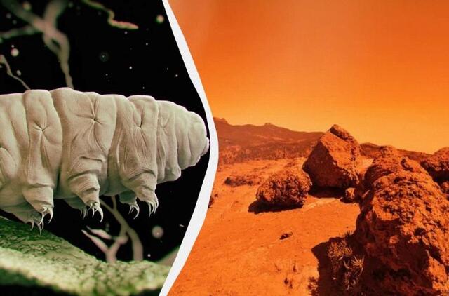 Marsas ir lėtapėdžiai