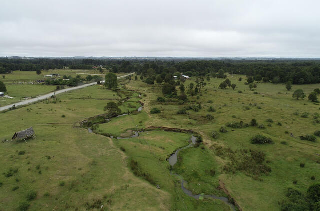 Naujas tyrimas griauna teoriją apie tai, kaip žmonės pasiekė Amerikos žemyną