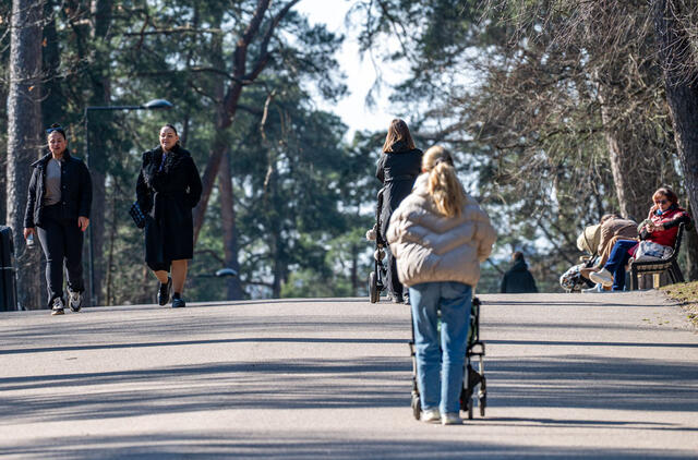 sinoptikė žada ir snaiges, ir pavasarišką šilumą