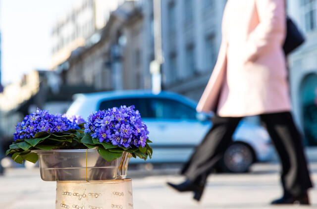 Naują savaitę laukia permainingi orai: lietus, rūkas ir saulė