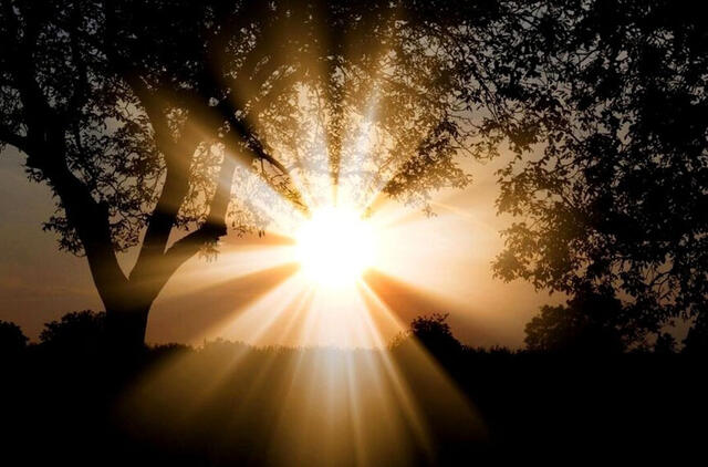 naujas efektyvus būdas saulės šviesą paversti kuru