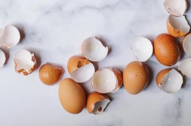 kiaušinių lukštai