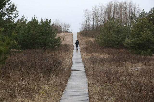 Pajūris, kopos, takai