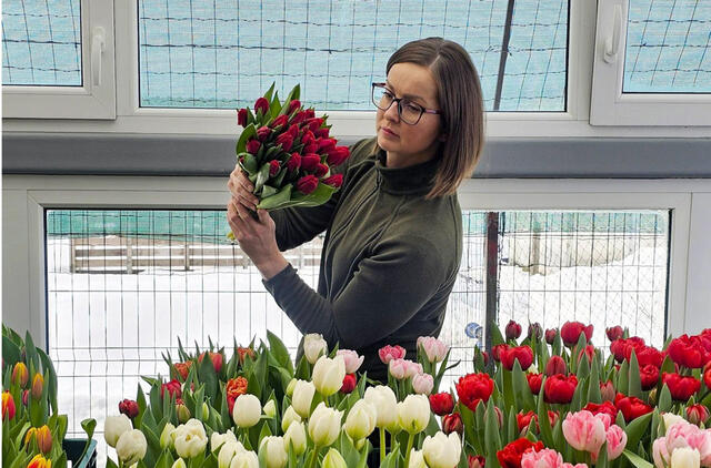 Kovo 8-oji, tulpės