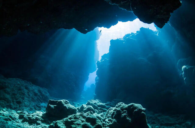 Povandeniniame urve narai rado didžiausią beždžionių fosilijų kolekciją