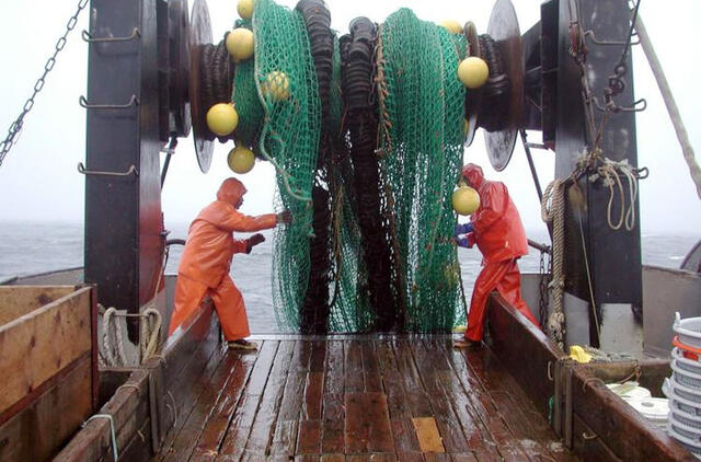 Atviroje Baltijos jūroje žvejojančios Lietuvos žuvininkystės produktų 