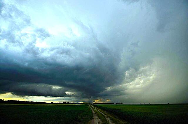 Lenkijos pakrantėje