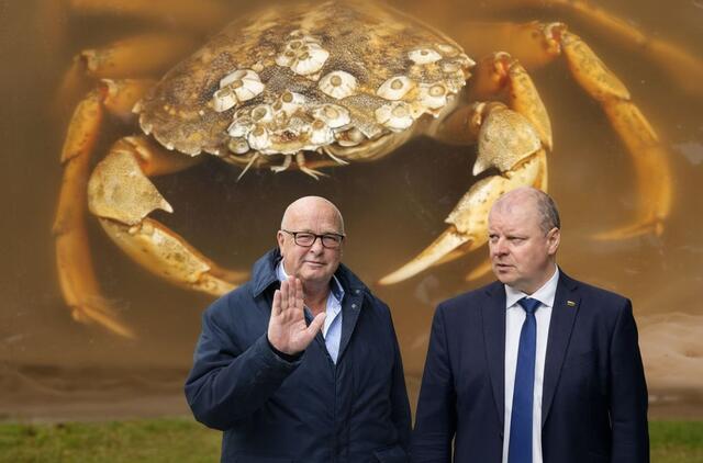 Visvaldas Matijošaitis, Saulius Skvernelis