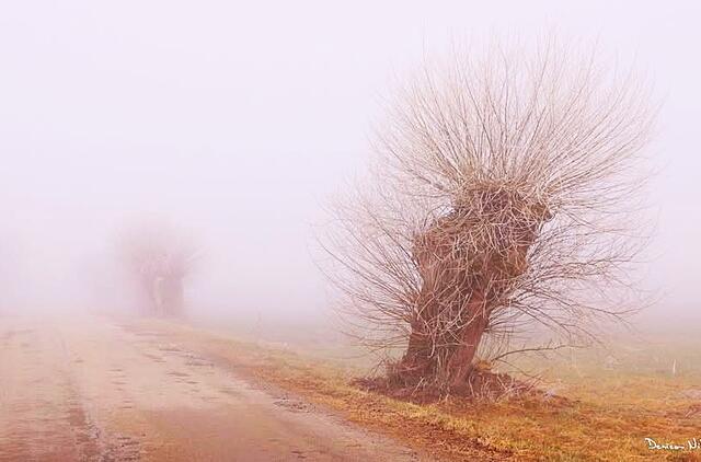 Nagarbos piliakalnio aplinka