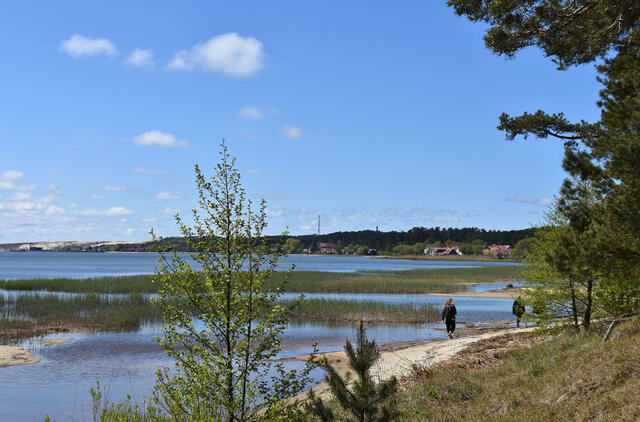 Neringos savivaldybė