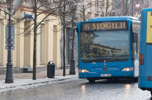 Klaipėda, autobusas