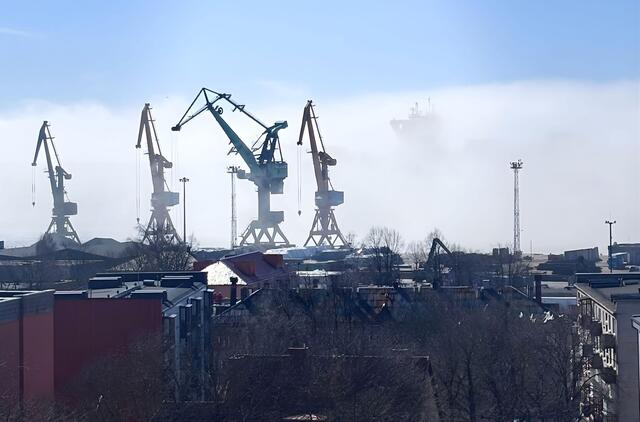 Rūkas Klaipėdos uoste