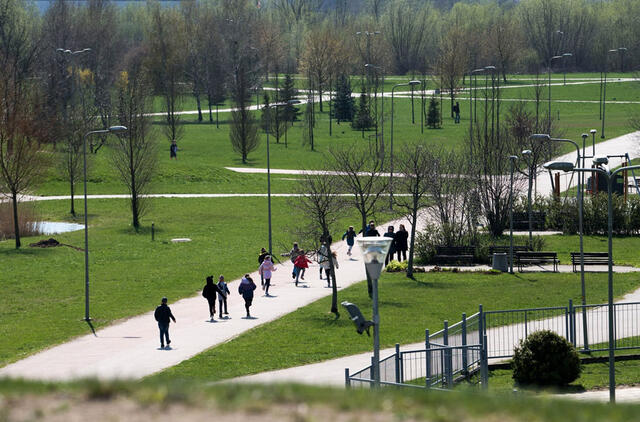 Sąjūdžio parkas, žmonės, medžiai