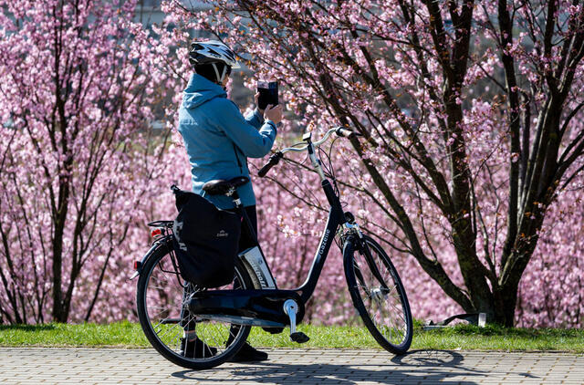Sinoptikai apie orus: džiugins malonus pavasaris - vietomis 17 laipsnių šiluma