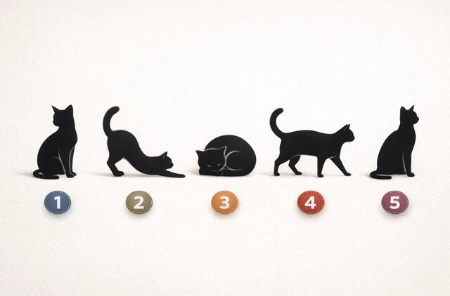 Pasirinkite katę ir sužinokite, ką jums laikas keisti savo elgesyje