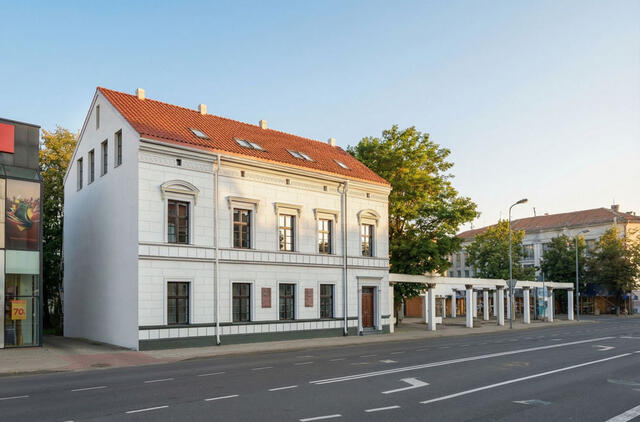 Herkaus Manto gatvė, remonto projektas