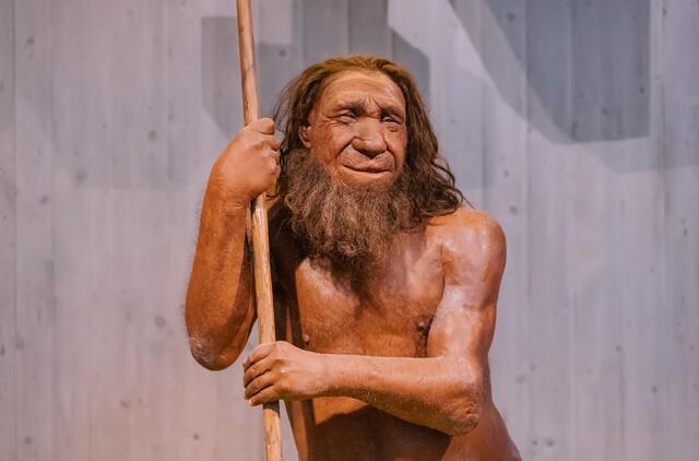 Neandertalietis