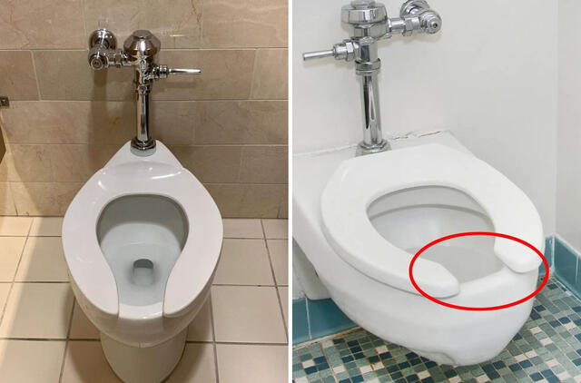 Tikroji priežastis, kodėl viešųjų tualetų sėdynės turi išpjovas