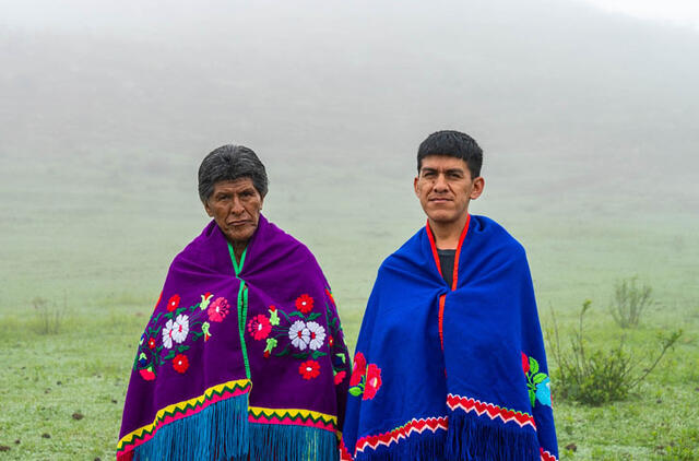 Argentinos menininkas