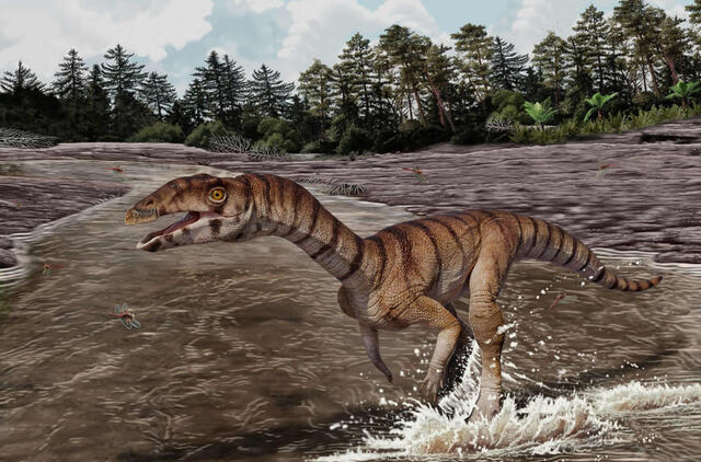Naujojoje Meksikoje atrastas keistas „raganų krokodilas“, primenantis dinozaurą