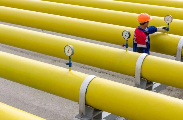 В Алжире начали строить Транссахарский газопровод