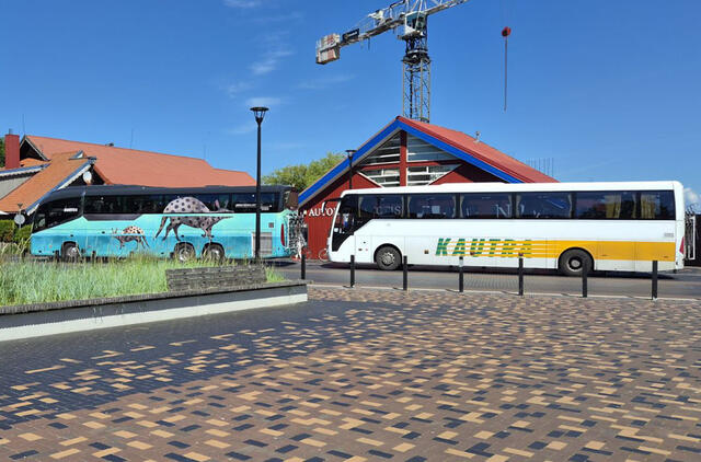 Nida, autobusai