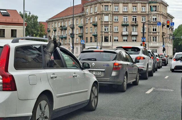 automobiliai, gatvė, sankryža
