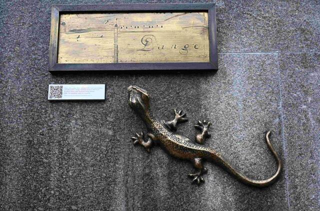 Salamandra