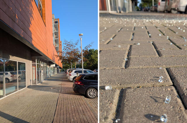 šaligatvis, stiklo šukės, pastatas