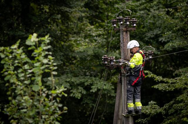 ESO atkūrė elektros energijos tiekimą
