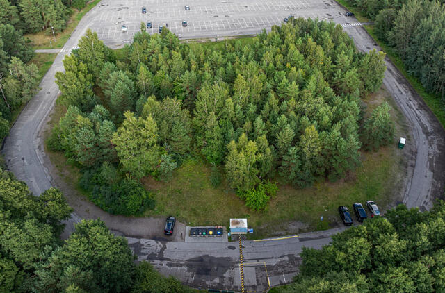 centrinis paplūdimys, aikštelė