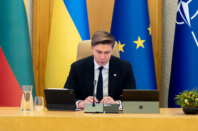 Mindaugas Sinkevičius, Vyriausybė